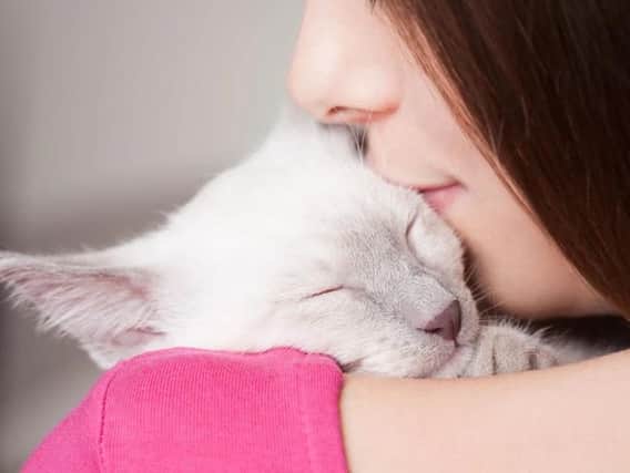 Cuddling cats could be deadly