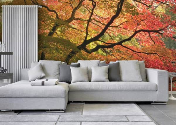 Autumn tree wall mural. Picture: PA Photo/Handout