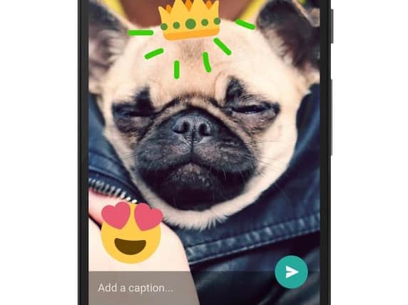 WhatsApp feature lets you draw on photos