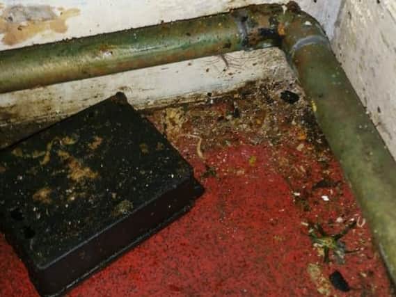 During a routine food hygiene inspection of Asian Spice takeaway on Sandringham Road, Intake, inspectors say they found mouse droppings in the kitchen area and conditions so filthy that the true extent of the pest activity was unclear. Picture courtesy of Doncaster Council.