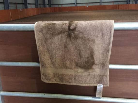 The "horse's head" towel at Rossington Hall Riding For The Disabled. (Photo: Sharon Matchett).
