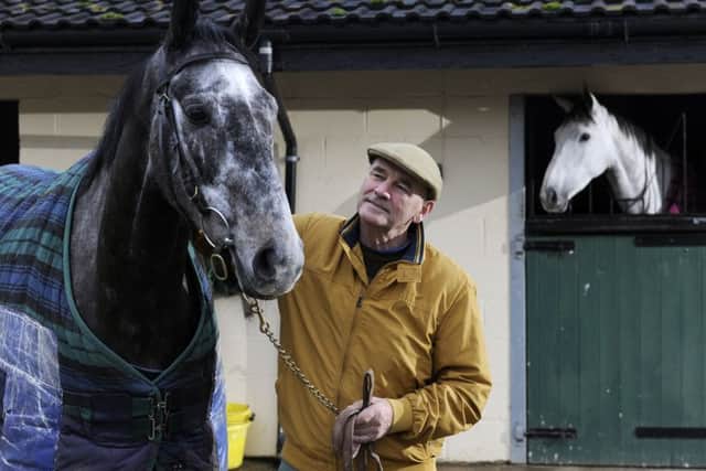 STUFF OF DREAMS -- Yorkshire trainer Malcolm Jefferson is hoping talented grey Cloudy Dreams can win some decent prizes this Jumps season.