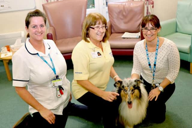 Pictured with Lila are physiotherapist Emma Shaw, Pets as Therapy volunteer Rosemary Copsey and clinical lead occupational therapist Tracy Pawson.