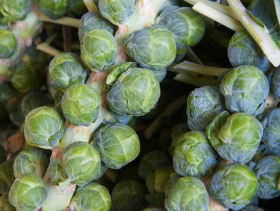 Shout out for sprouts