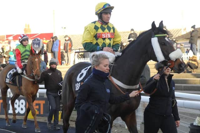 Horses circling the paddock during the big Christmas meeting at Wetherby, one of many racecourses to stage thrilling action during the festive holiday.