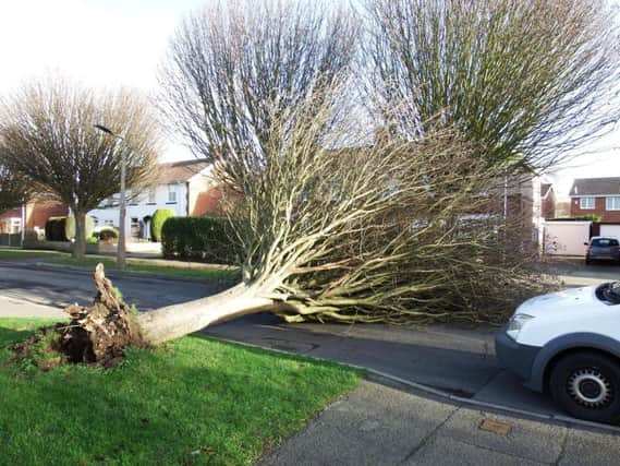 Another tree blocked Sutton Road in Kirk Sandall after strong winds