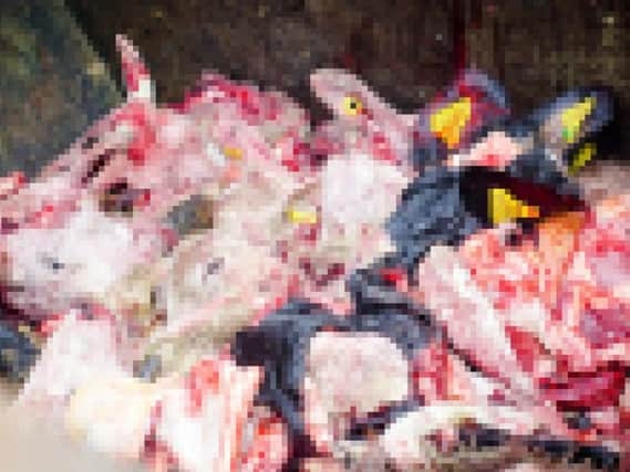 A pixellated version of the skip full of severed heads. (Photo: Animal Aid).