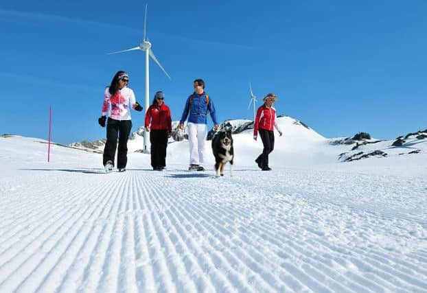 White walk: Family hiking on Naetschen above Andermatt with only Guetsch Wind Farm turbines for company. (Photo: swiss-image.ch/Christian Perret)