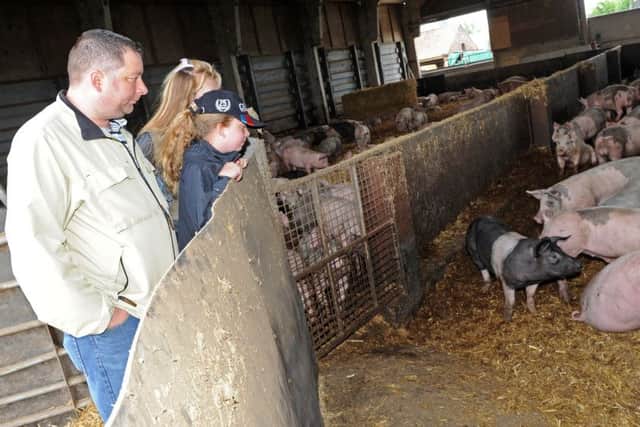 Darren, Leah and Josy Mitchell look at the pigs