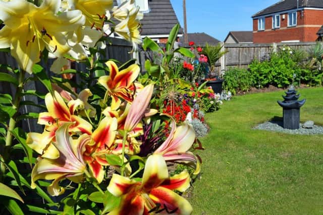 A view across the garden of Tim Oakes, in Adwick featuring Giant Lillies. Picture: Marie Caley NDFP Oakes Garden MC 4