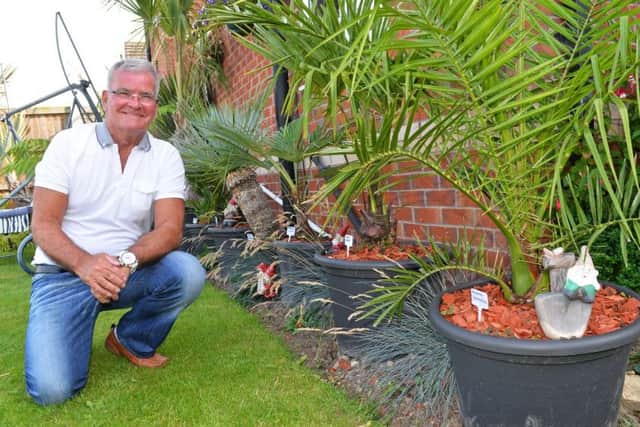 Tim Oakes, of Adwick,  pictured in his garden by a variety of Palms. Picture: Marie Caley NDFP Oakes Garden MC 8