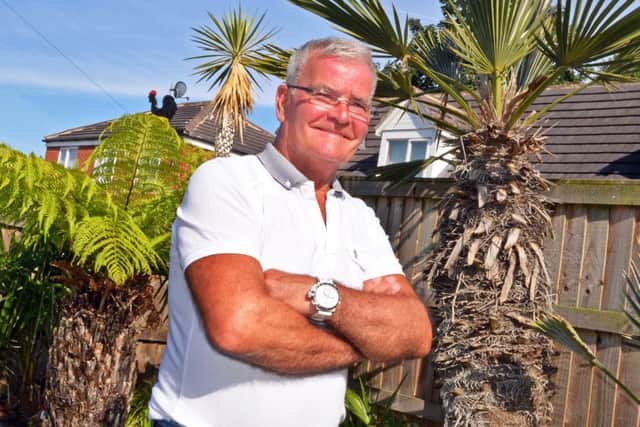 Tim Oakes, of Adwick has 24 varieties of palm tree in his exotic garden along with many other tropical plants. Picture: Marie Caley NDFP Oakes Garden MC 9