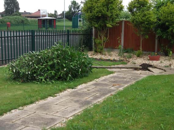Some of the damage to the memorial garden