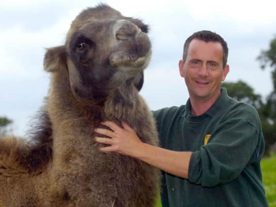 John Minion of he Yorkshire Wildlife Park with Monty the Camel