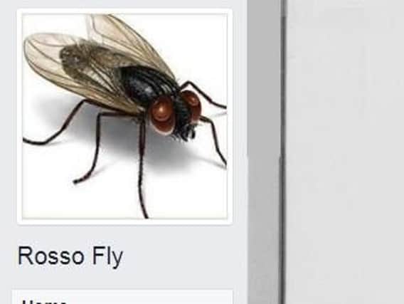 The Rosso Fly Facebook page.