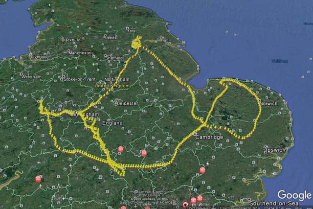 The route taken by the nightjar. (Photo: Google).