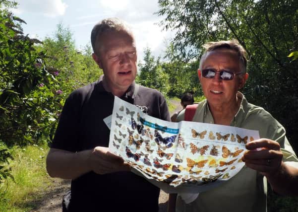 Wardsend Cemetery Bioblitiz and Open Day: Ben Keywood from Sheffield and Rothreham Wildlife Trust (left) identifying butterflies with David Baston