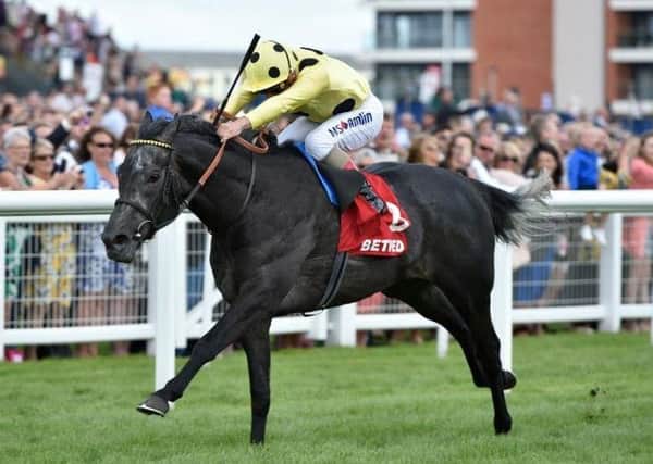 The rapidly-improving Defoe, one of the leading fancies, bidding to give jockey Andrea Atzeni his third St Leger triumph in the last four years. PHOTO BY: JULIAN HERBERT (courtesy of Newbury Racecourse)