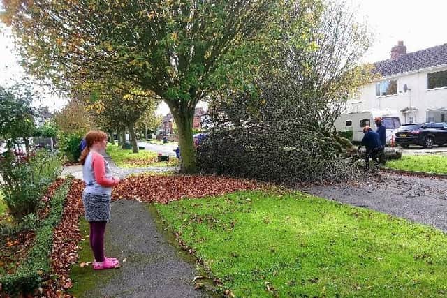 A tree which was blown down by the wind at Sutton Road, Barnby Dun, on October 2, 2017
