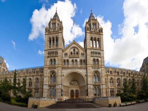 The Natural History Museum