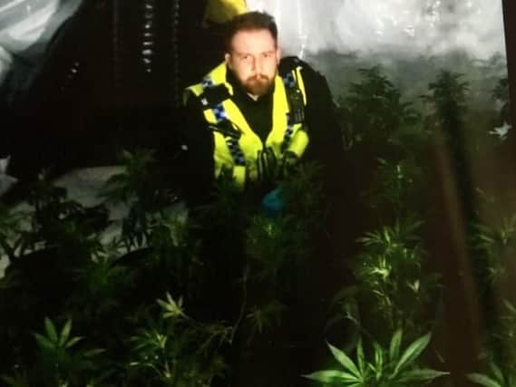 A cannabis farm was discovered in a house in Hexthorpe, Doncaster