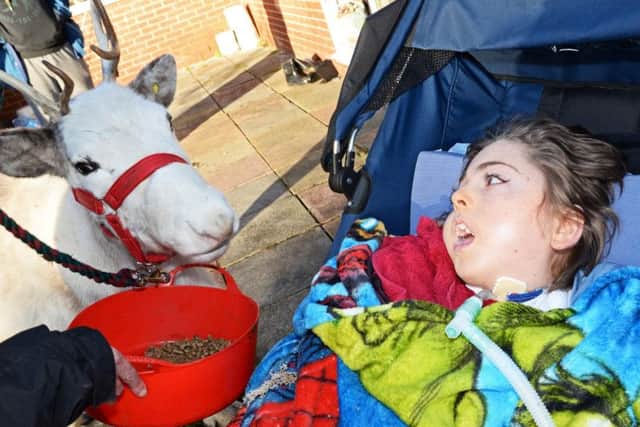 Jennie woodcock, from Haughton Park Reindeer, pictured introducing Lewis to May, one of two Reindeers, that visited him. Picture: Marie Caley NDFP Jeynes Reindeers MC 3