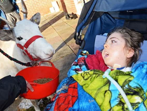 Jennie woodcock, from Haughton Park Reindeer, pictured introducing Lewis to May, one of two Reindeers, that visited him. Picture: Marie Caley NDFP Jeynes Reindeers MC 3