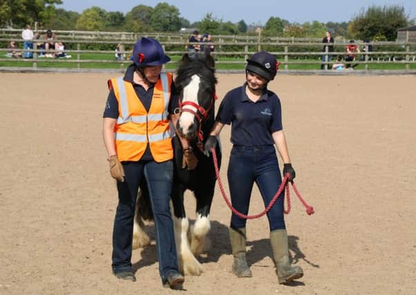 Volunteers at Bransby Horses