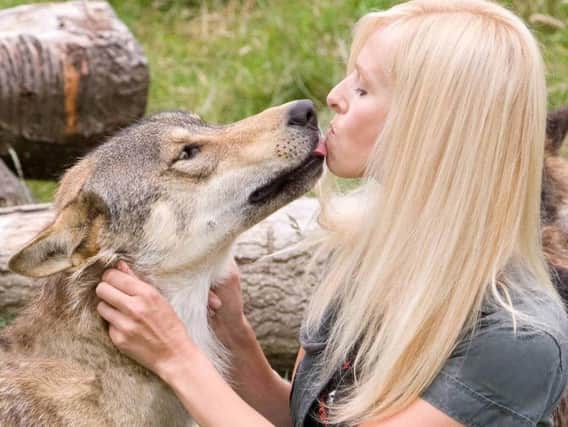Torak the wolf has been captured. (Photo: PA).