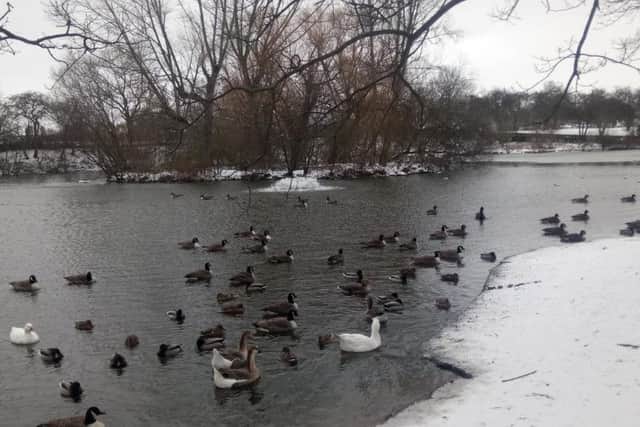 Sandall Park in the snow.