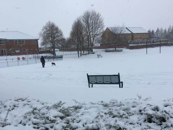 Snow at Denaby, Doncaster, last week