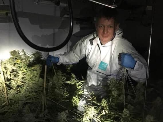 Officers discovered a cannabis factory at a property in Masefield Road, Wheatley Hills on Wednesday.Picture: South Yorkshire Police