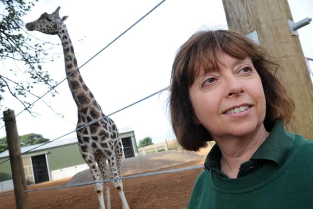 Yorkshire Wildlife Park director Cheryl Williams at the giraffe enclosure