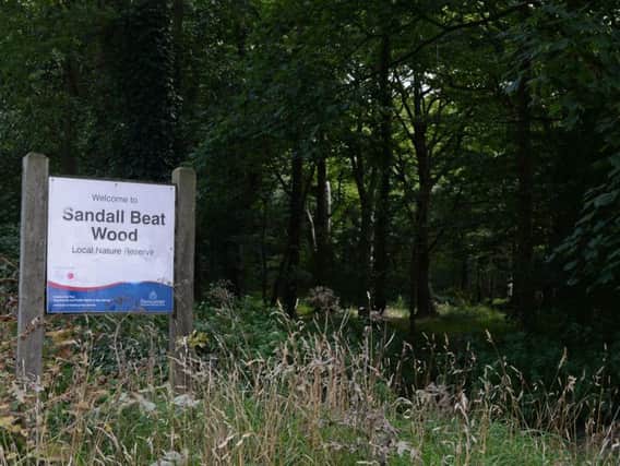 Sandall Beat Wood.