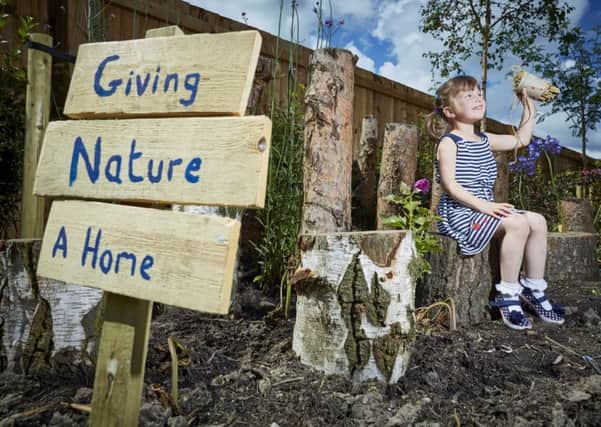 Lyra Coolican, aged 4, builds an insect home in her garden