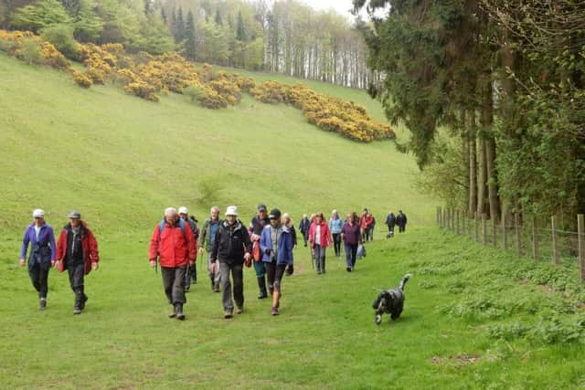 Walking through Welton Dale