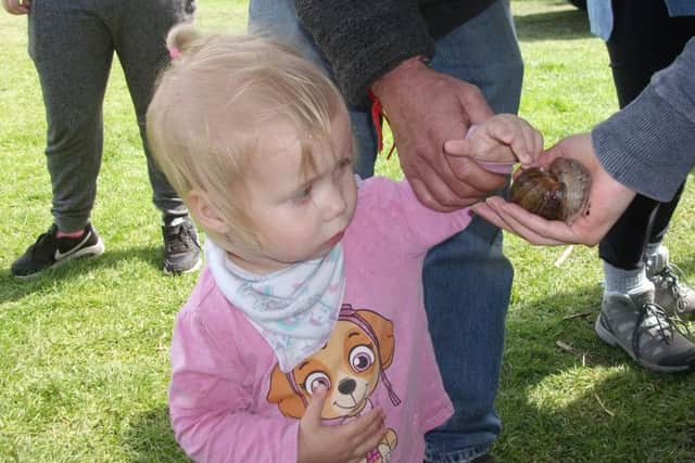 Epworth Community Fair at the Old Rectory. Pictured is Ellie-Maria Fordham, aged 2, meeting a giant snail,